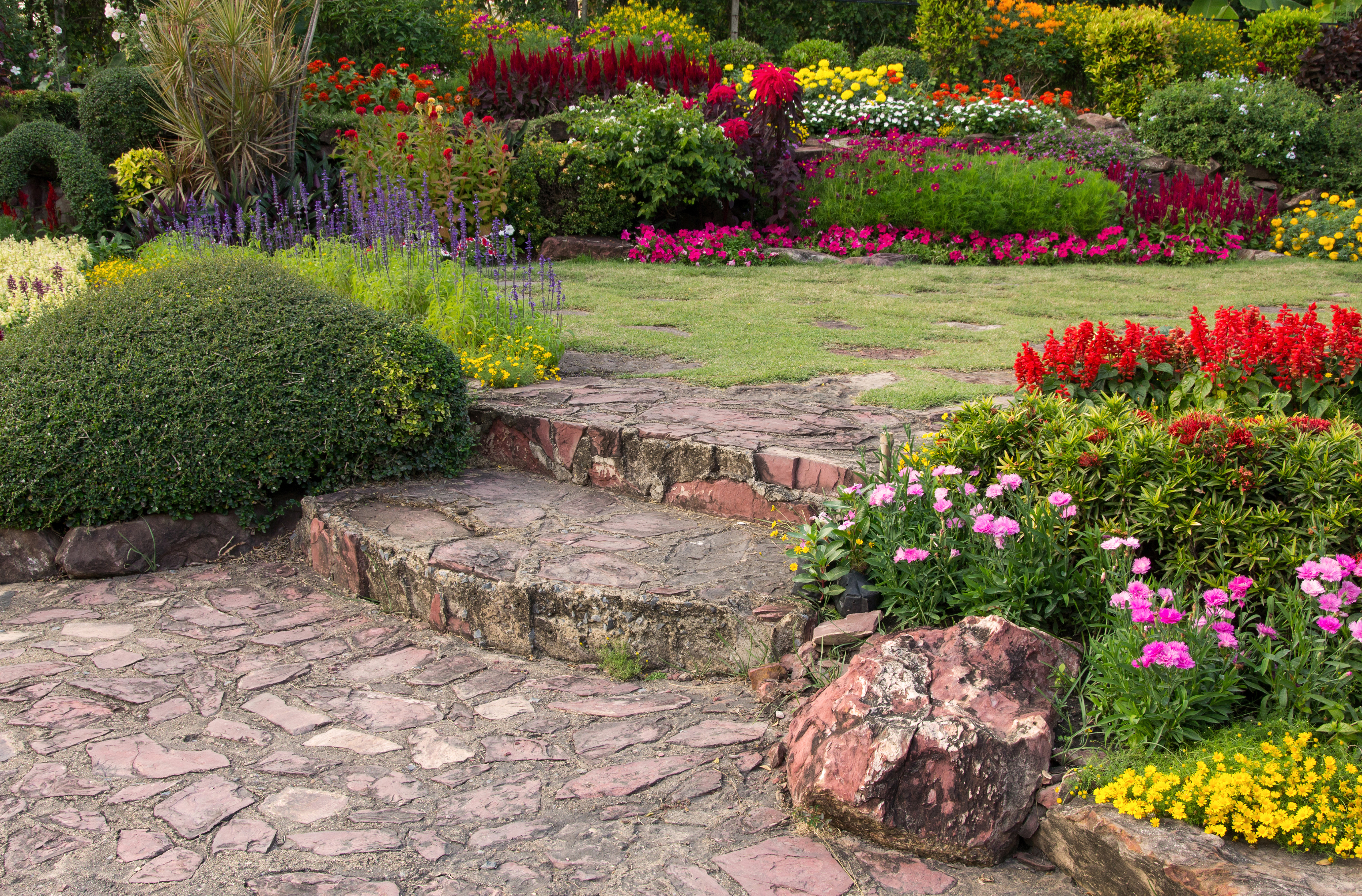 Jardin naturel et fleuri, Villeurbanne
