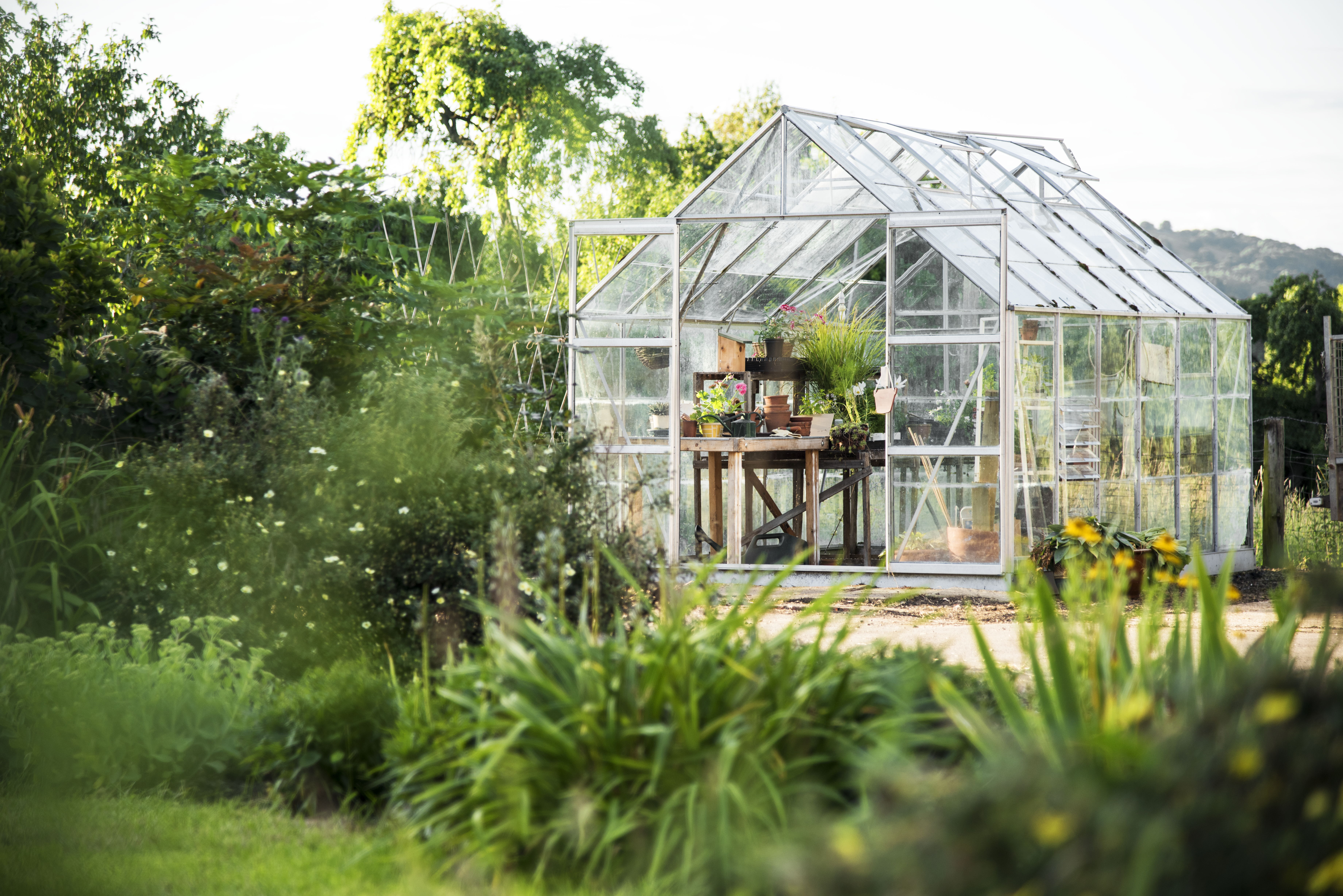 Jardin aménagé par Lucas Morel, Les Jardins du Chêne