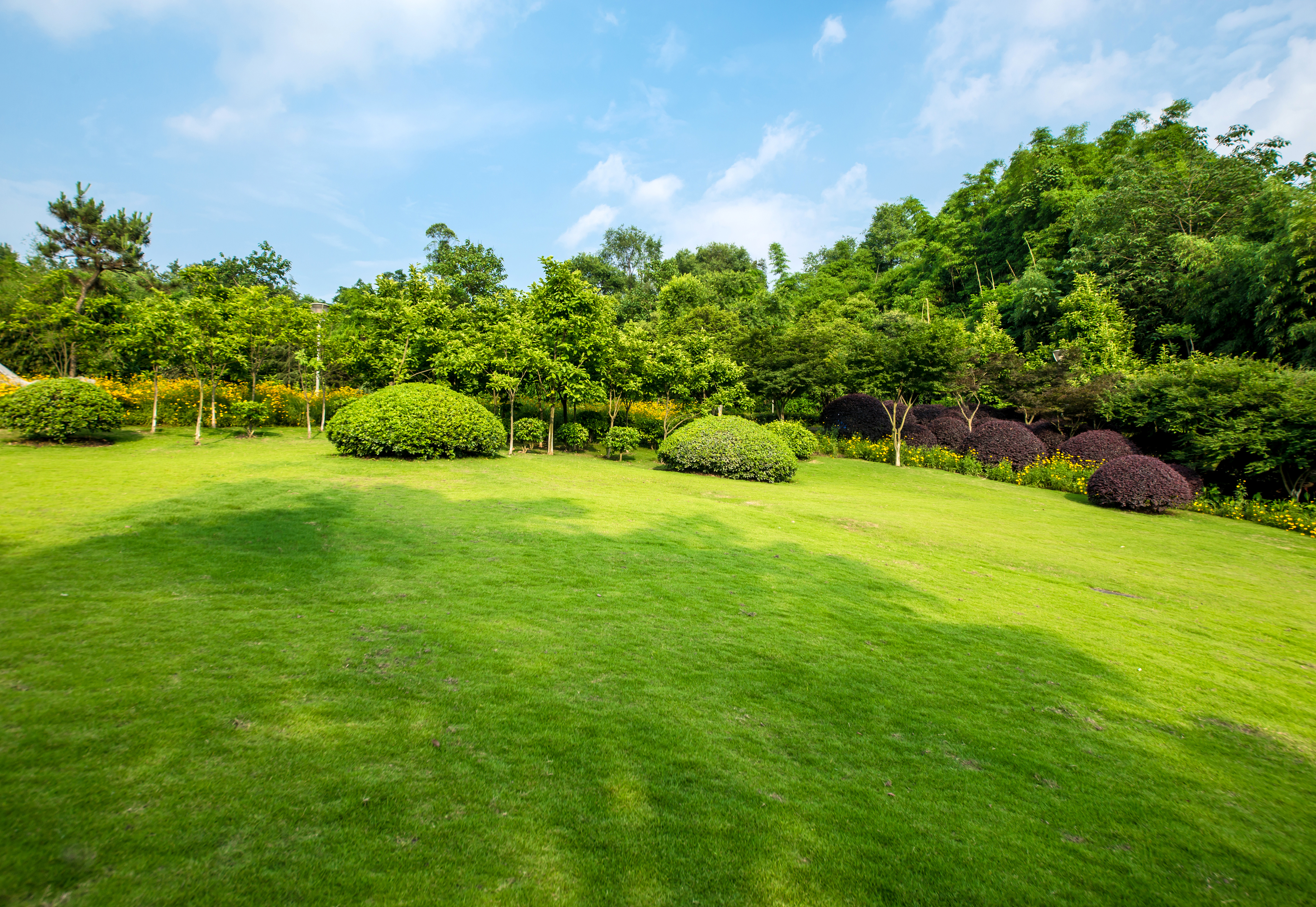 Jardin aménagé par Les Jardins du Chêne